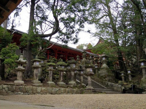 Stone lanterns leading up to Kasuga shrine.